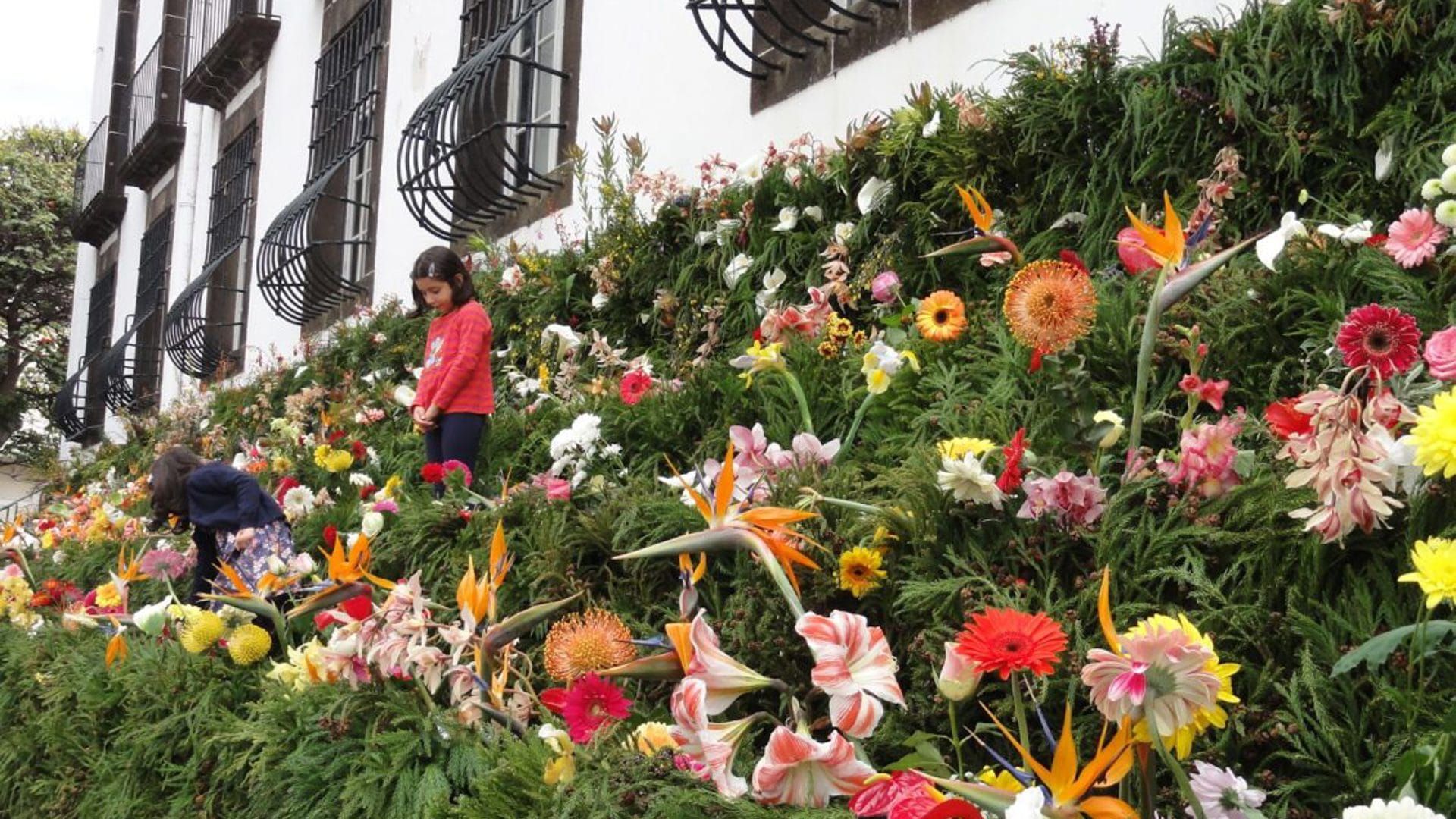 Crianças no Muro da Esperança durante a Festa da Flor