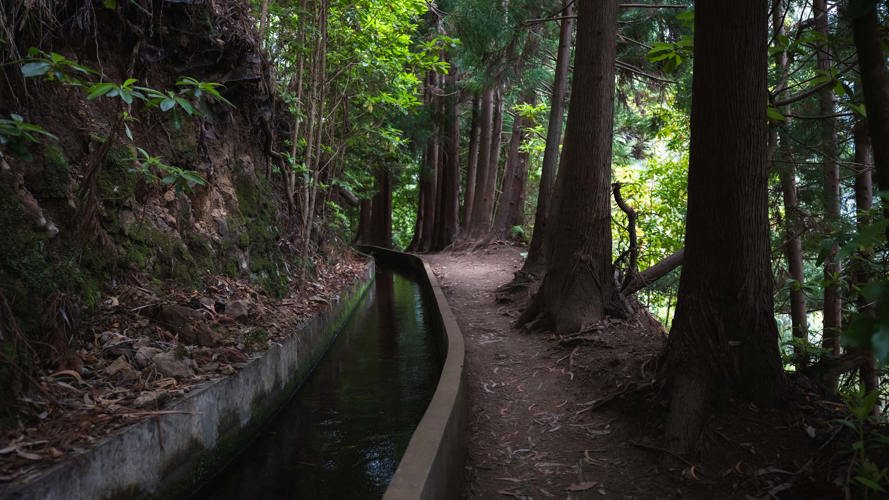 As Melhores Levadas da Madeira para Caminhadas