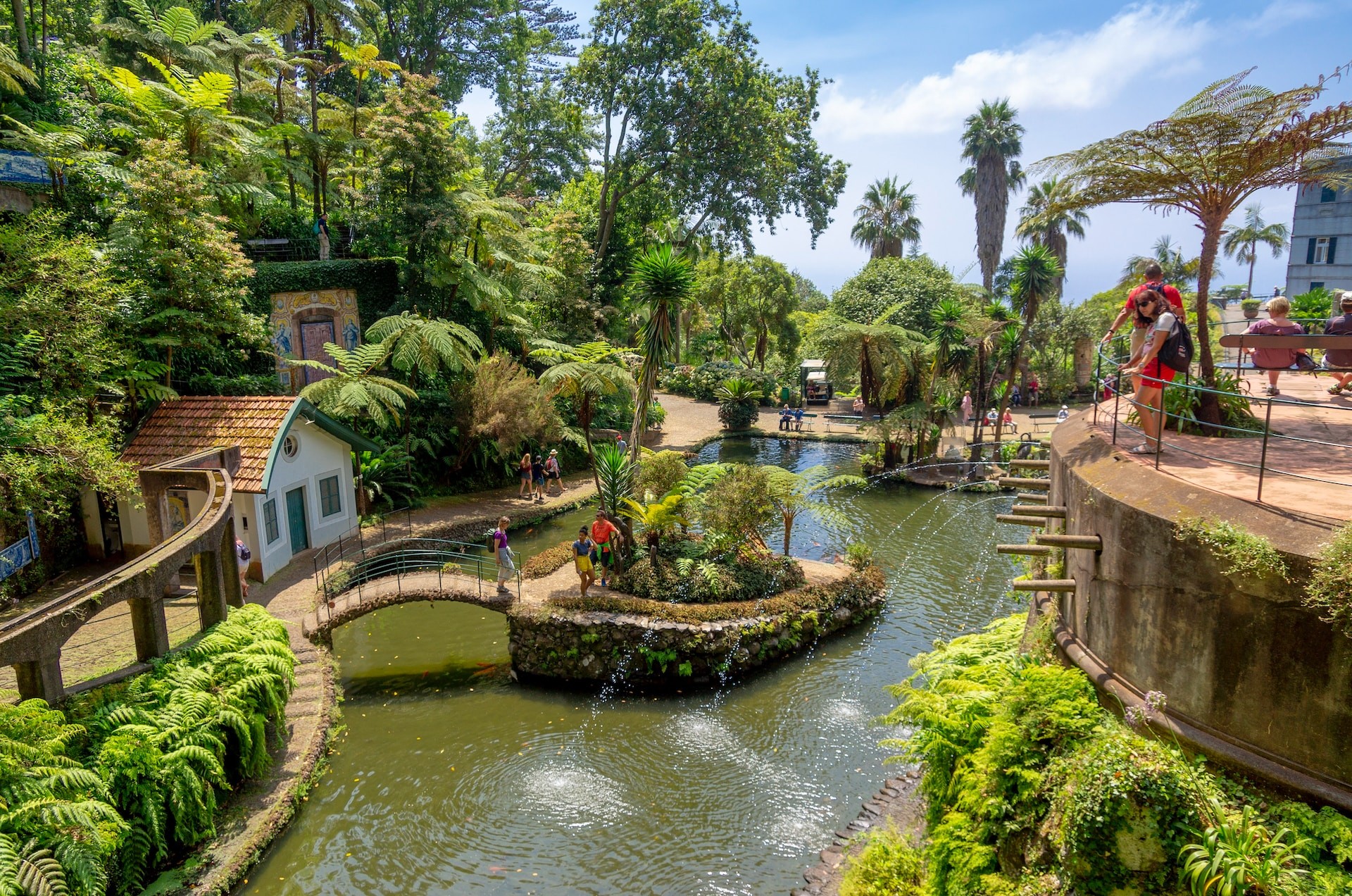 O Que Fazer na Madeira no Verão: Guia Completo Para Aproveitar a Ilha ao Máximo